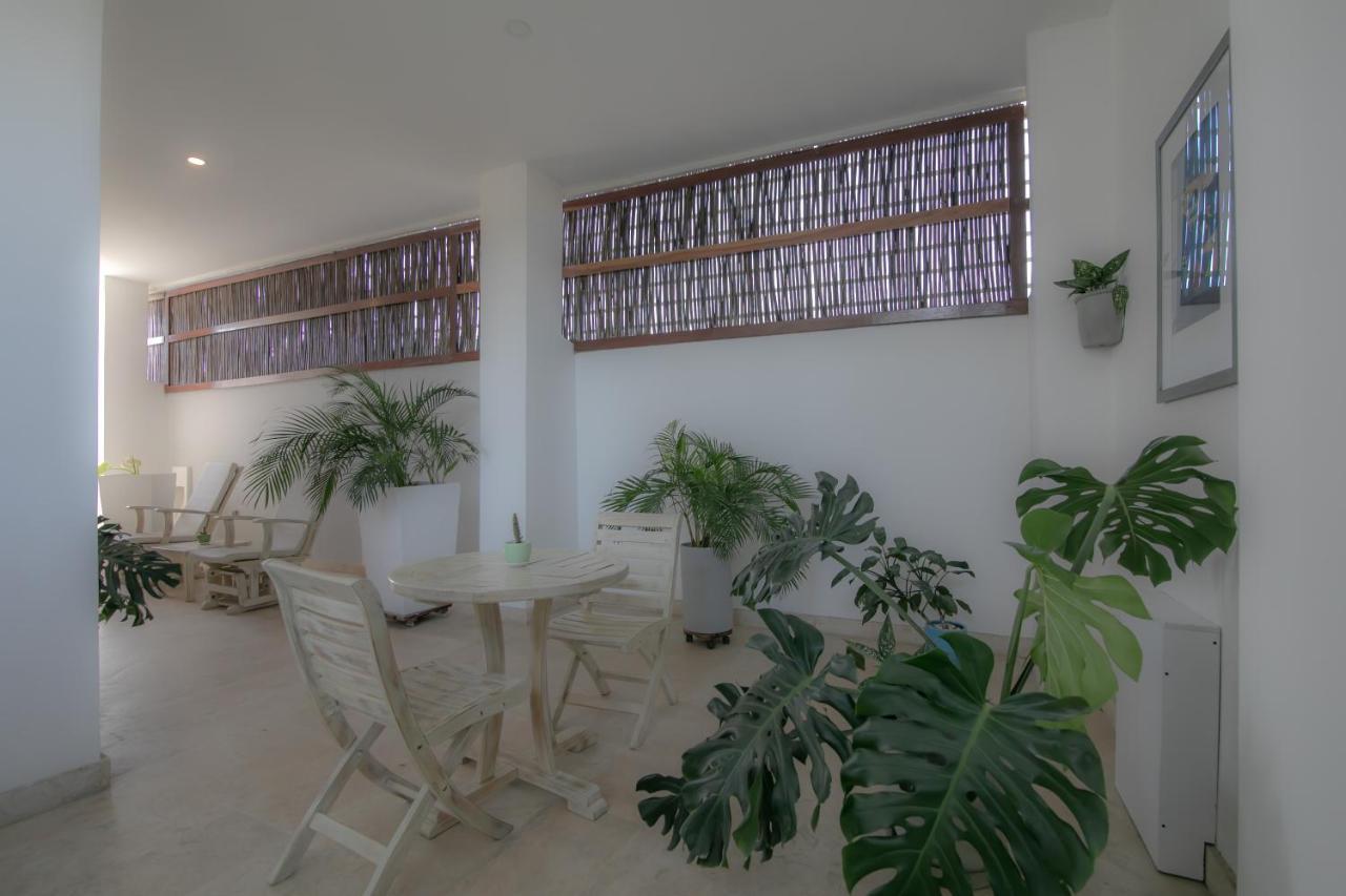 El Cactus Luxury Apartments In Historic Center سانتا مارتا المظهر الخارجي الصورة